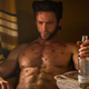 The Wolverine